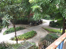 廈門吉利園 匠心獨運，盆景藝術點亮花卉世界