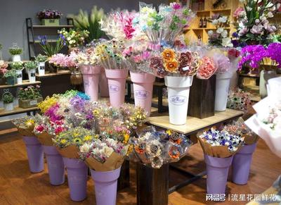 云南國色天香花卉 以流星花園之姿，將鮮花與盆景之美播撒四方